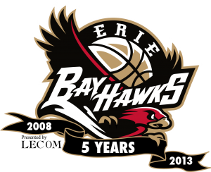 5yrBayHawkLogo1